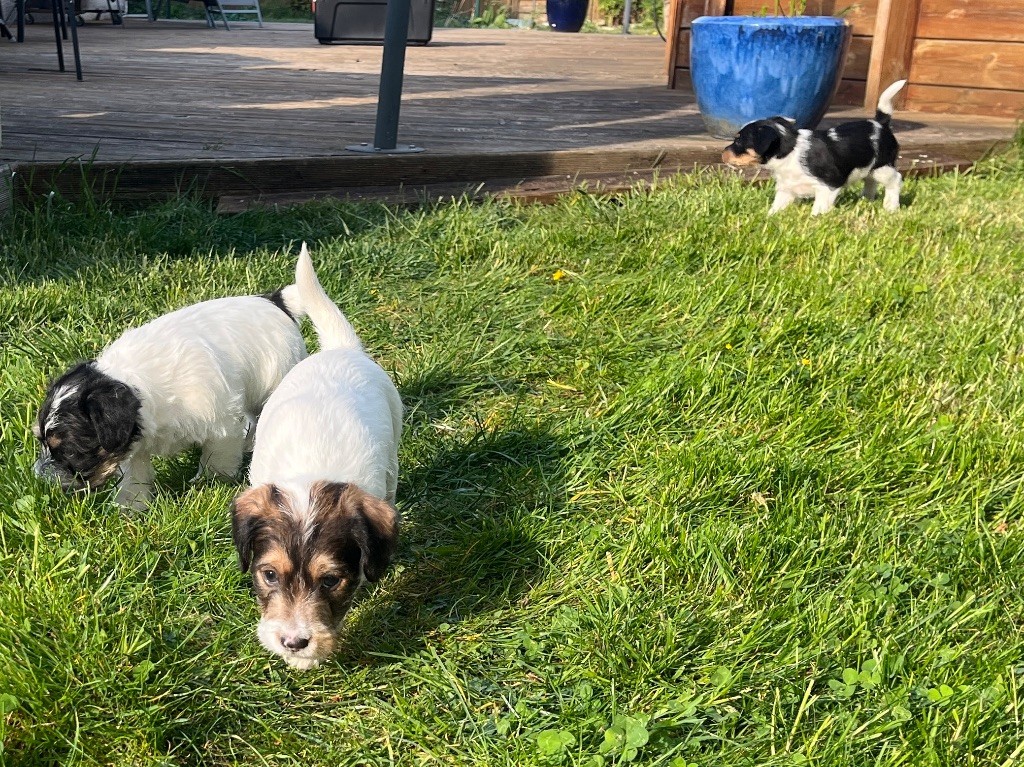 Journée au jardin au soleil pour les bébés 